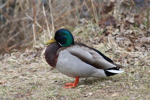Sådan undgår du at gå i stå midt i krydsordet